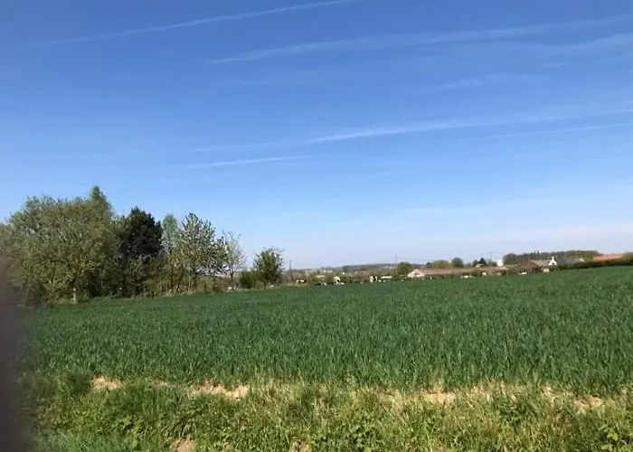 Katshof